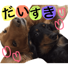 [LINEスタンプ] ダックスフンドの日常会話