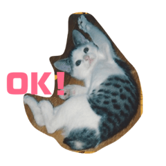 [LINEスタンプ] ゆいと猫のスタンプ