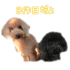 [LINEスタンプ] なま＆むぎ3