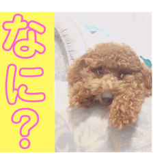 [LINEスタンプ] メロンたん