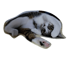 [LINEスタンプ] しあわせたっぷりすたんぷ