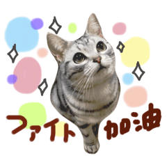 [LINEスタンプ] ラプンツェルちゃん1