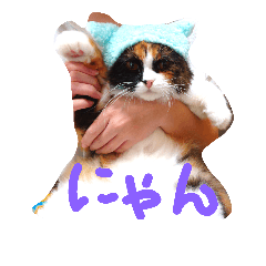 [LINEスタンプ] 茶々の日常2018