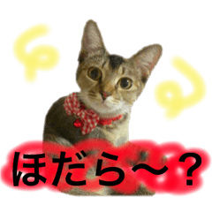 [LINEスタンプ] "マ