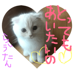 [LINEスタンプ] ラヴたんと時々ひよ②