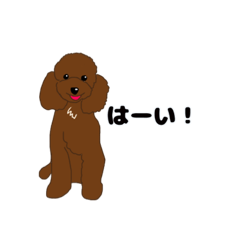 [LINEスタンプ] トイプードルの僕
