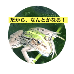 [LINEスタンプ] なんとかなる、なんとかする