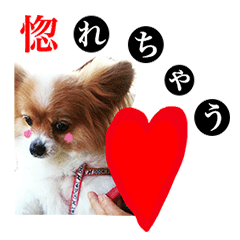 [LINEスタンプ] ソラと僕