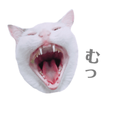 [LINEスタンプ] めるそら