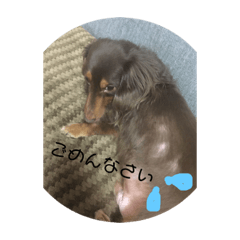 [LINEスタンプ] ちろとまろの日常