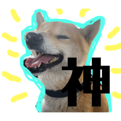 [LINEスタンプ] 我が家のたろはなちゃんです