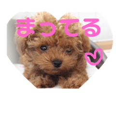 [LINEスタンプ] ししまる20180607