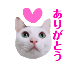 [LINEスタンプ] めるそら2
