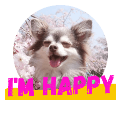 [LINEスタンプ] 日常あいさつヘビロテ