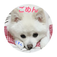 [LINEスタンプ] あくあだょ