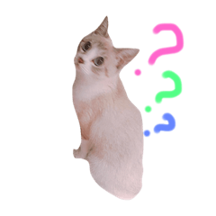[LINEスタンプ] もっちゃんの日常