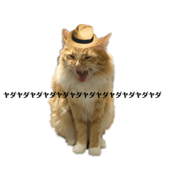 [LINEスタンプ] アイラブメインクーン4