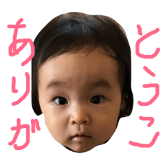 [LINEスタンプ] とうこさん