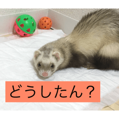 [LINEスタンプ] さくらちゃん3