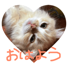 [LINEスタンプ] おでぶチャコ