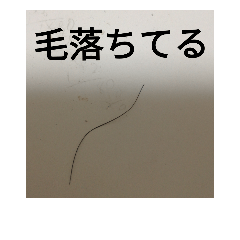 [LINEスタンプ] すばめ