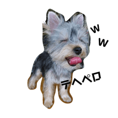 [LINEスタンプ] はぁと＆らぶり