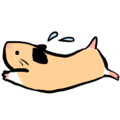 [LINEスタンプ] キンクマハムスター ちわ