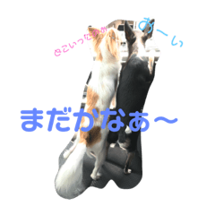 [LINEスタンプ] おじゃ丸・てつ丸です