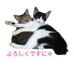 [LINEスタンプ] 姉弟ねこさんサチユキ2