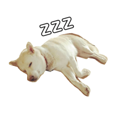 [LINEスタンプ] ばあちゃんすたんぷ