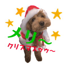 [LINEスタンプ] マルプーのだんごちゃん