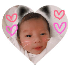 [LINEスタンプ] 葵昊