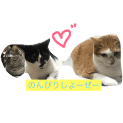 [LINEスタンプ] にゃんせな