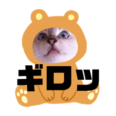 [LINEスタンプ] 実家のねこちゃん