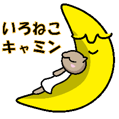 [LINEスタンプ] 動く！いろねこキャミン