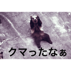 [LINEスタンプ] 動物ダジャレん