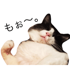 [LINEスタンプ] ししまる Part Ⅰ