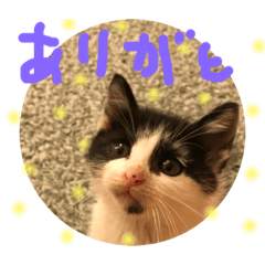 [LINEスタンプ] てん＆いっぺい