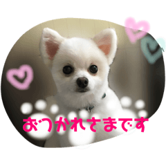 [LINEスタンプ] HARU＆KINA2