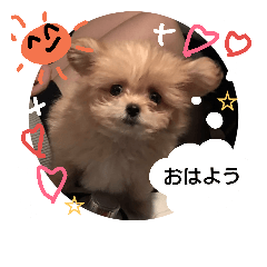 [LINEスタンプ] たこまるのスタンプ