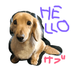 [LINEスタンプ] 三郎の日常！