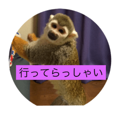 [LINEスタンプ] りくぞう2