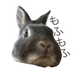 [LINEスタンプ] もふもふまるお