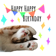 [LINEスタンプ] さしみスタンプ2
