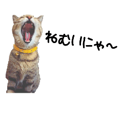 [LINEスタンプ] ちびななちゃん