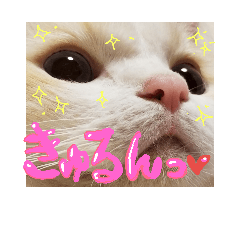 [LINEスタンプ] 雪の王子