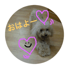 [LINEスタンプ] ラッキー12