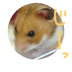 [LINEスタンプ] まいはむすたー。