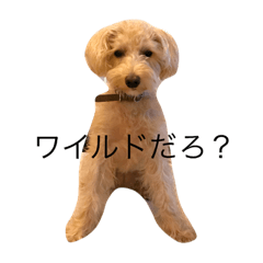 [LINEスタンプ] Clear's reply 2！