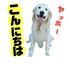 [LINEスタンプ] 仲良しコンビ・ぐりちゃんとめるちゃん